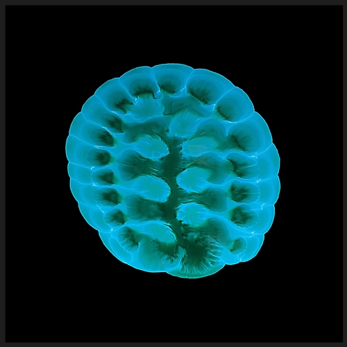 0209