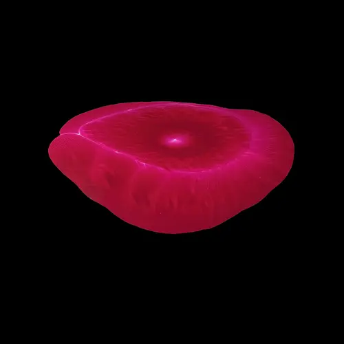 0214
