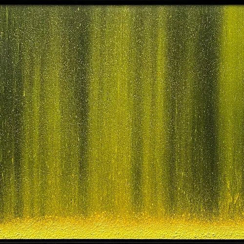 0110