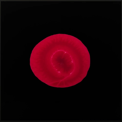 0117