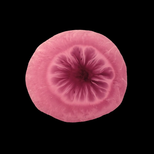 0001