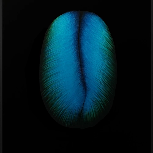 0161