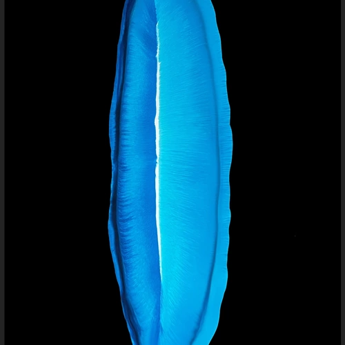 0138