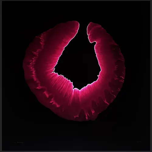 0215