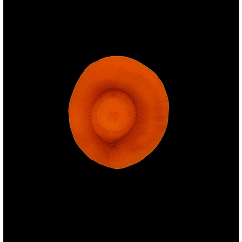 0159